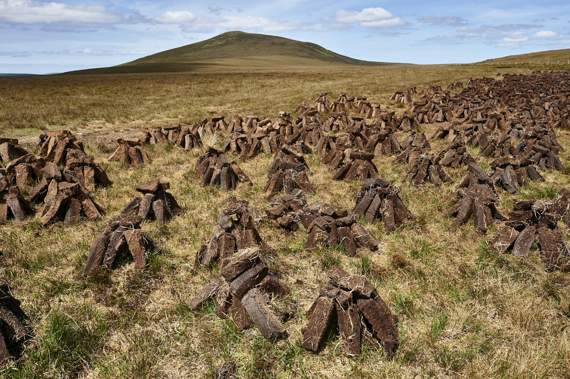 Peat field in Ballycroy National Park